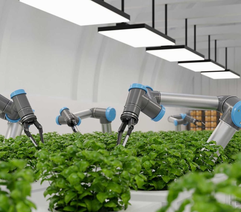 robotic-in-agriculture-futuristic-concept-agricult-2023-11-27-05-25-32-utc.jpg